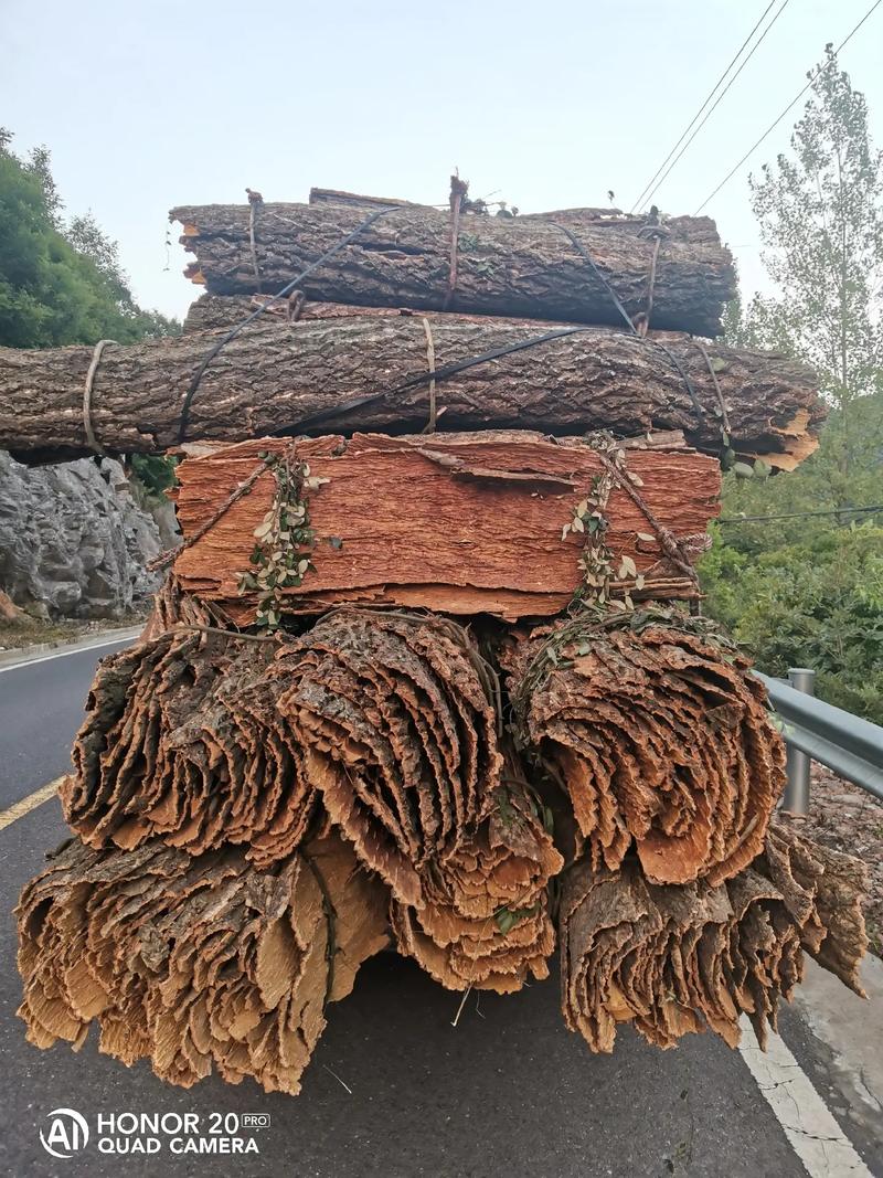 栓皮质优价美，诚邀药商合作——专业中草药收购引关注