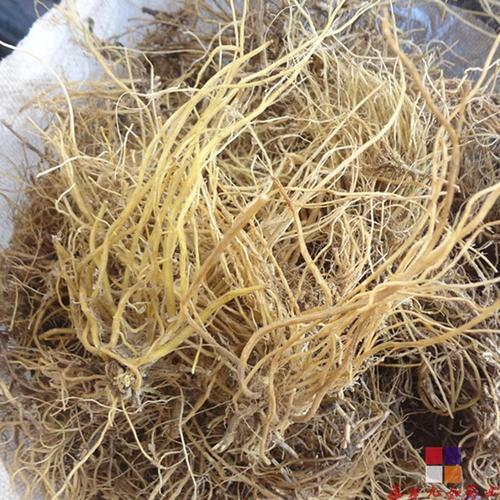 龙胆草的功效与价格解析 从本草奇药到市场行情